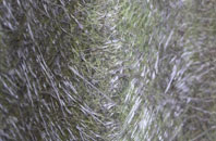 Hendreforgan fibreglass roof work